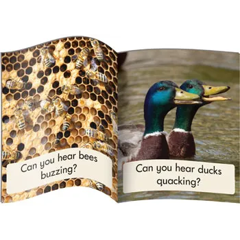 Decodable Readers- Non-Fiction Library - Modern Teaching Aids NZ