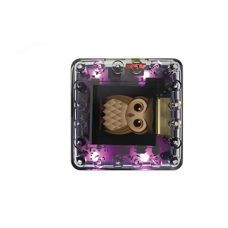 KaiBot - Hybrid Coding Robot - Modern Teaching Aids NZ