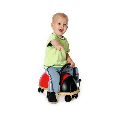 Wheely Bug - Small Ladybug - Modern Teaching Aids NZ