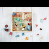 My Forest Floor Set - Modern Teaching Aids NZ