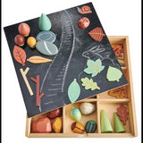 My Forest Floor Set - Modern Teaching Aids NZ