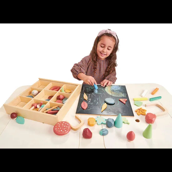 My Forest Floor Set - Modern Teaching Aids NZ