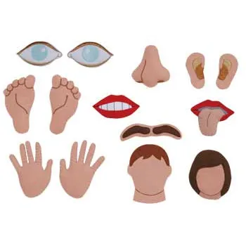 My Body Parts Felt Pieces 14 Pieces - Modern Teaching Aids NZ