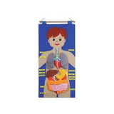 My Body Felt Chart - Modern Teaching Aids NZ