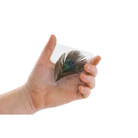 Pressed Feathers Plants & Leaves - 22 pieces - Modern Teaching Aids NZ