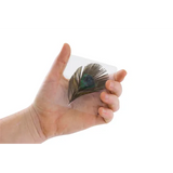 Pressed Feathers Plants & Leaves - 22 pieces - Modern Teaching Aids NZ