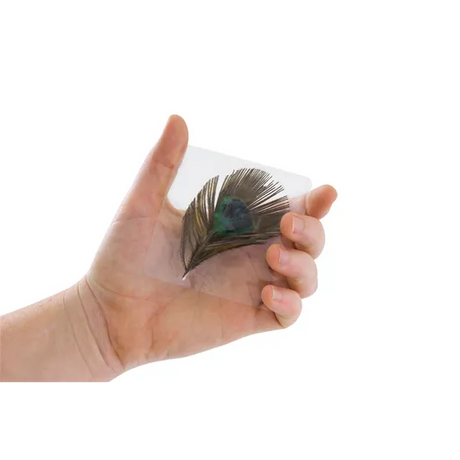 Pressed Feathers Plants & Leaves - 22 pieces - Modern Teaching Aids NZ