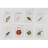 Pressed Feathers Plants & Leaves - 22 pieces - Modern Teaching Aids NZ