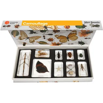 Camouflage Mini Beasts Set - Modern Teaching Aids NZ