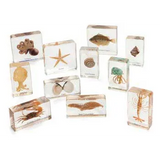 Mini Beasts Ocean Set - Large - Modern Teaching Aids NZ