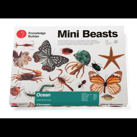 Mini Beasts Ocean Set - Large - Modern Teaching Aids NZ