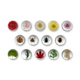 Mini Beast Pebbles Bugs and Plants - Modern Teaching Aids NZ