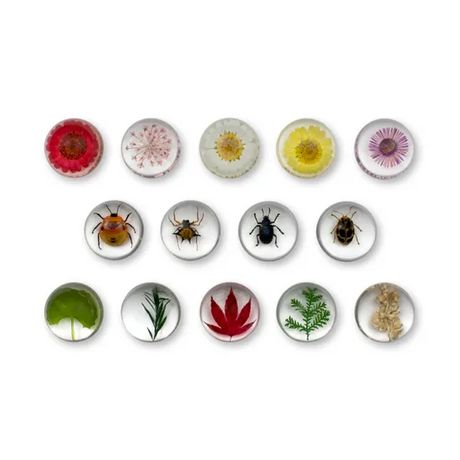 Mini Beast Pebbles Bugs and Plants - Modern Teaching Aids NZ