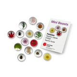 Mini Beast Pebbles Bugs and Plants - Modern Teaching Aids NZ