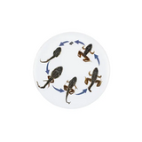Round Frog Life Cycle - Modern Teaching Aids NZ