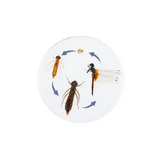 Round Dragonfly Life Cycle - Modern Teaching Aids NZ
