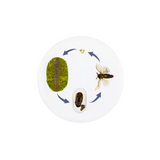 Round Moth Life Cycle - Modern Teaching Aids NZ