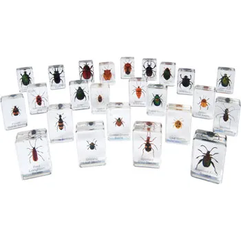 Mini Beasts Complete Set - Modern Teaching Aids NZ