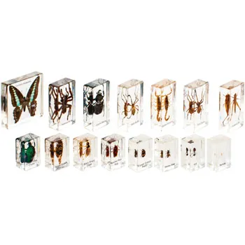 Mini Beasts Complete Set - Modern Teaching Aids NZ