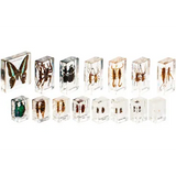 Mini Beasts Complete Set - Modern Teaching Aids NZ