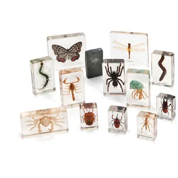 Mini Beasts Complete Set - Modern Teaching Aids NZ