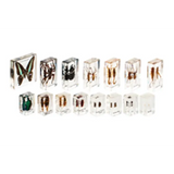 Mini Beasts Insects and Spiders - Large Set - Modern Teaching Aids NZ
