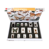 Mini Beasts Insects and Spiders - Large Set - Modern Teaching Aids NZ