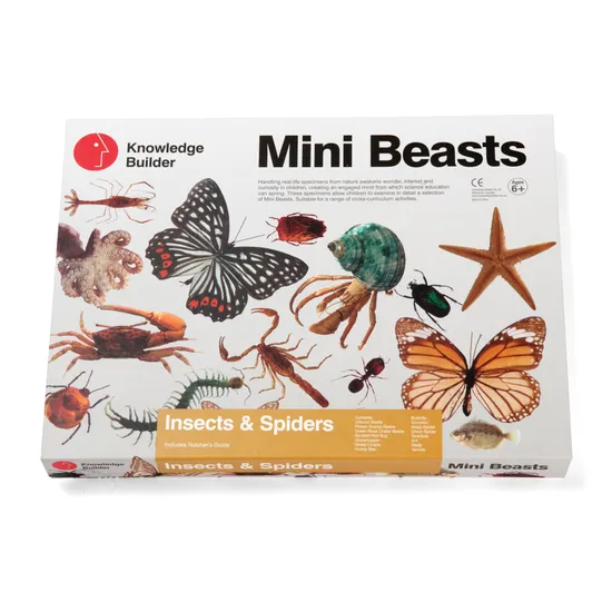 Mini Beasts Insects and Spiders - Large Set - Modern Teaching Aids NZ