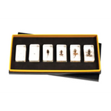 Mini Beasts Frog Life Cycle - Modern Teaching Aids NZ