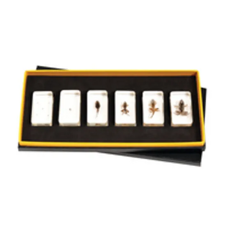 Mini Beasts Frog Life Cycle - Modern Teaching Aids NZ