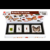 Mini Beasts Butterfly Life Cycle - Modern Teaching Aids NZ