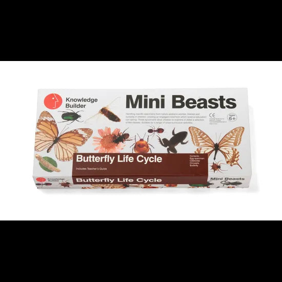 Mini Beasts Butterfly Life Cycle - Modern Teaching Aids NZ