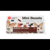 Mini Beasts Butterfly Life Cycle - Modern Teaching Aids NZ