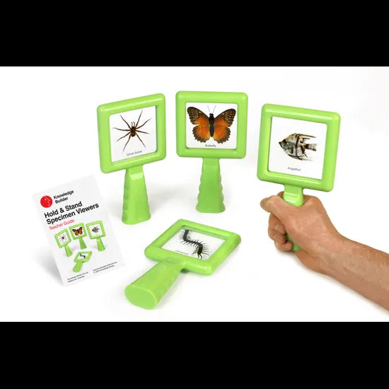 Mini Beasts Specimen Viewer with Handle - Pack of 4 - Modern Teaching Aids NZ