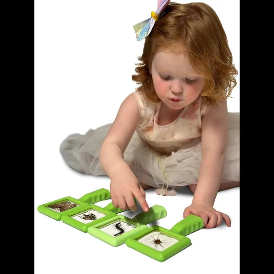 Mini Beasts Specimen Viewer with Handle - Pack of 4 - Modern Teaching Aids NZ