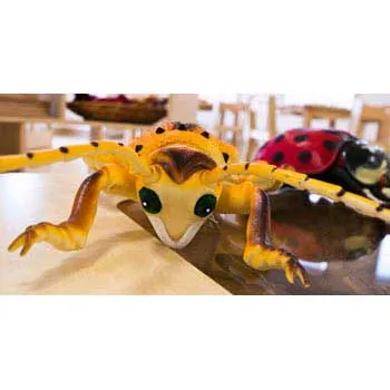 Large Insects - Set of 12 - Modern Teaching Aids NZ