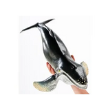 Large Sea Animals - Set of 6 - Modern Teaching Aids NZ