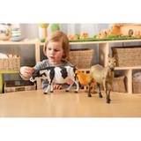 Farm Animals - Set of 5 - Modern Teaching Aids NZ