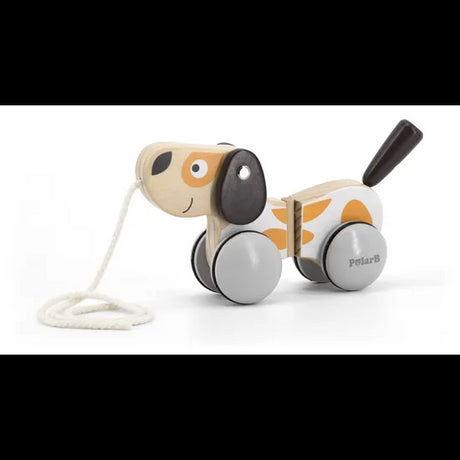 Pull  Along Puppy - Modern Teaching Aids NZ