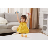 Double Maracas Lion - Modern Teaching Aids NZ