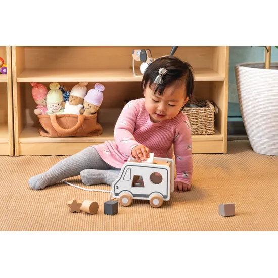 Pull Along Shape Sorting Truck - Grey Tones - Modern Teaching Aids NZ