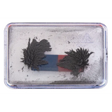 Iron Filings Case - 9.5 x 7cm - Modern Teaching Aids NZ