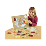 Magnetic Food Fun Healthy Set - Modern Teaching Aids NZ