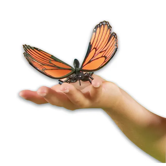 Jumbo Insects - Set of 7 - Modern Teaching Aids NZ