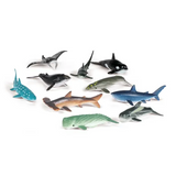 Ocean Counters - Set of 50 - Modern Teaching Aids NZ