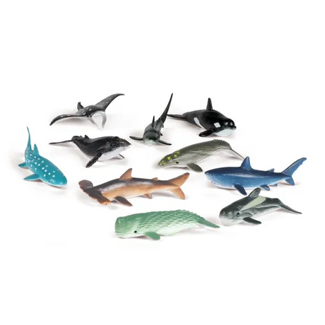 Ocean Counters - Set of 50 - Modern Teaching Aids NZ