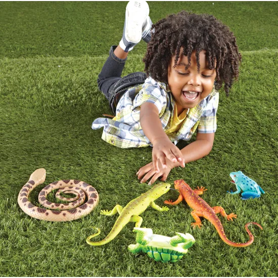 Jumbo Reptiles & Amphibians - Modern Teaching Aids NZ