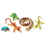 Jumbo Reptiles & Amphibians - Modern Teaching Aids NZ