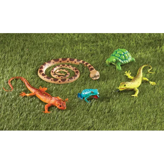 Jumbo Reptiles & Amphibians - Modern Teaching Aids NZ