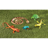 Jumbo Reptiles & Amphibians - Modern Teaching Aids NZ